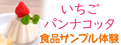 東京ソラマチ店　いちごパンナコッタの食品サンプル製作体験